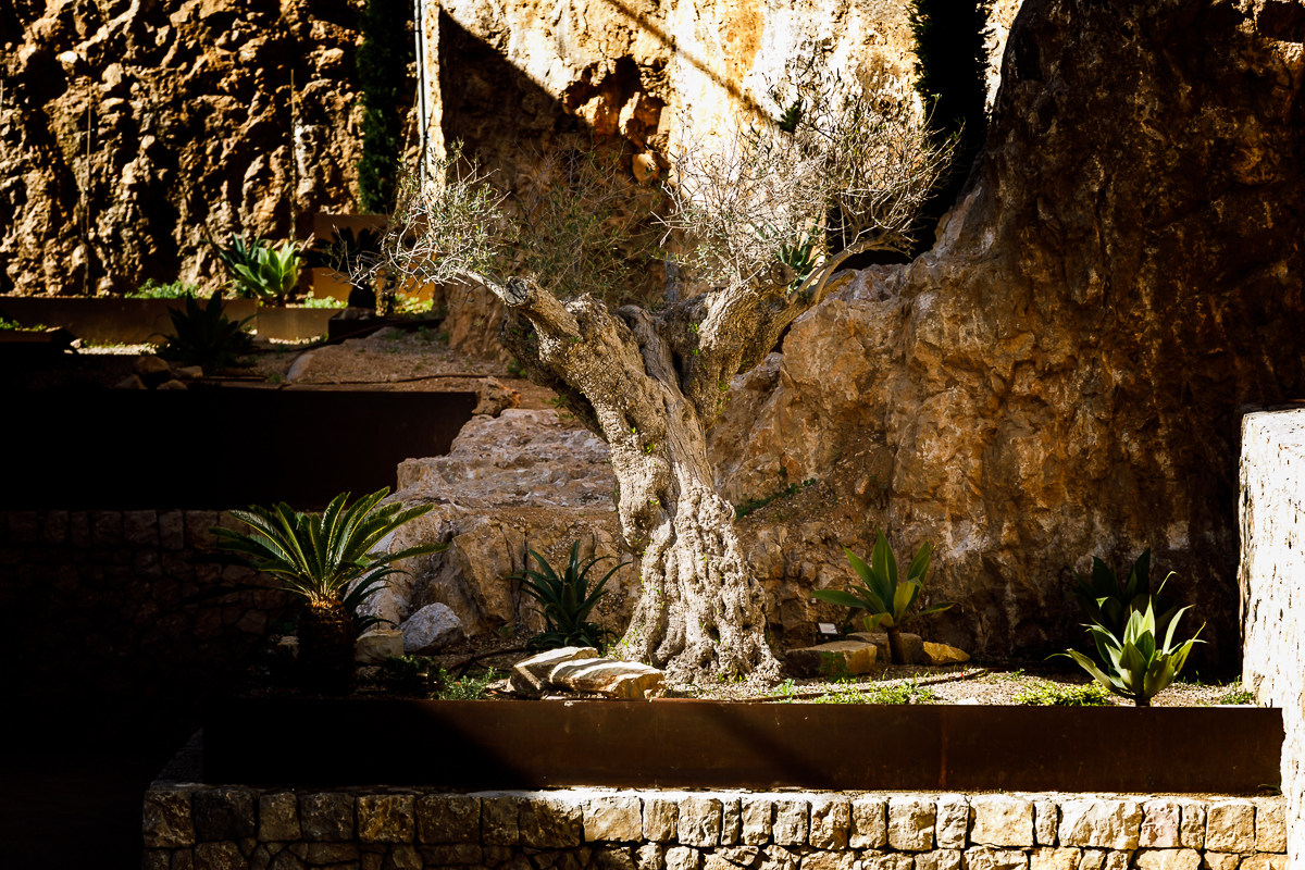 Jardinería Pujol | Soni Martínez Fotógrafo